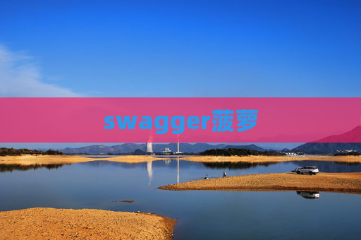 swagger菠萝 swagger菠萝